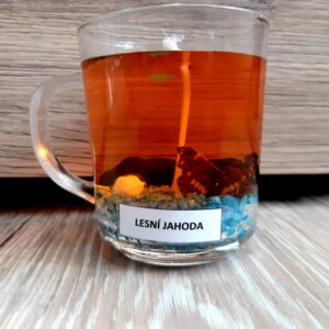 MOTÝL BAREVNÝ - LESNÍ JAHODA